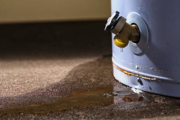Local water damage restoration in Perry, FL