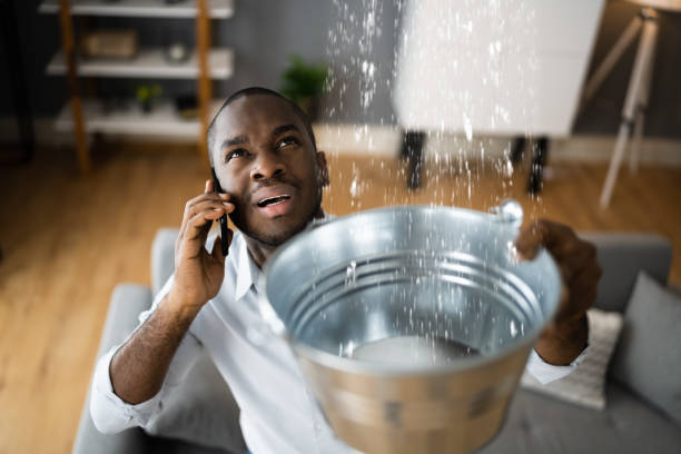 Best Flooded house restoration  in Perry, FL