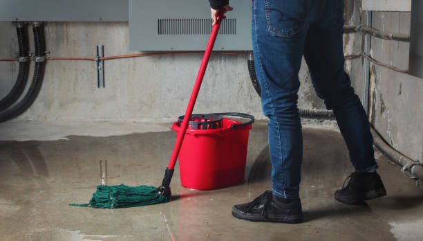  Perry, FL Water damage restoration Pros