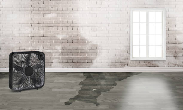 Fire Damage Restoration in Perry, FL