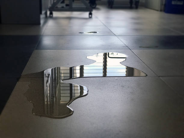 Best Commercial water damage restoration  in Perry, FL