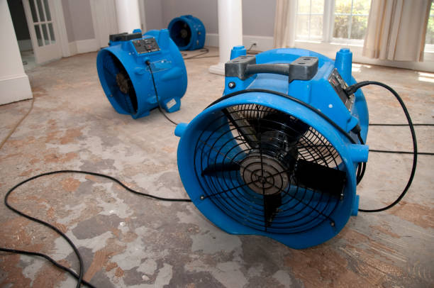 Water damage restoration process in Perry, FL