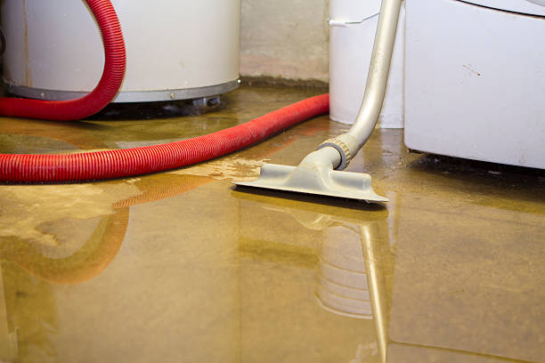 Best Residential water damage restoration  in Perry, FL