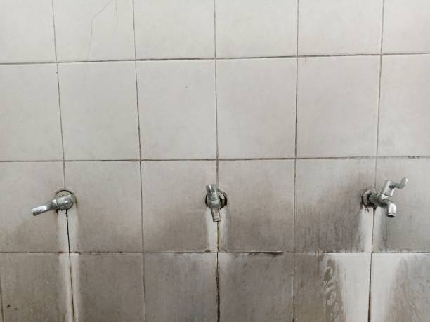 Best Water damage restoration near me  in Perry, FL