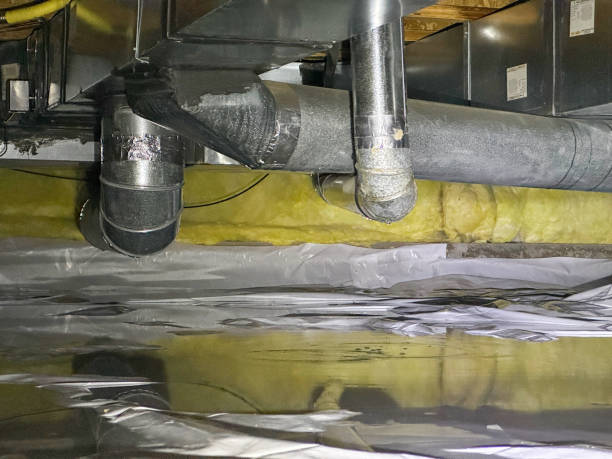Best Local water damage restoration  in Perry, FL